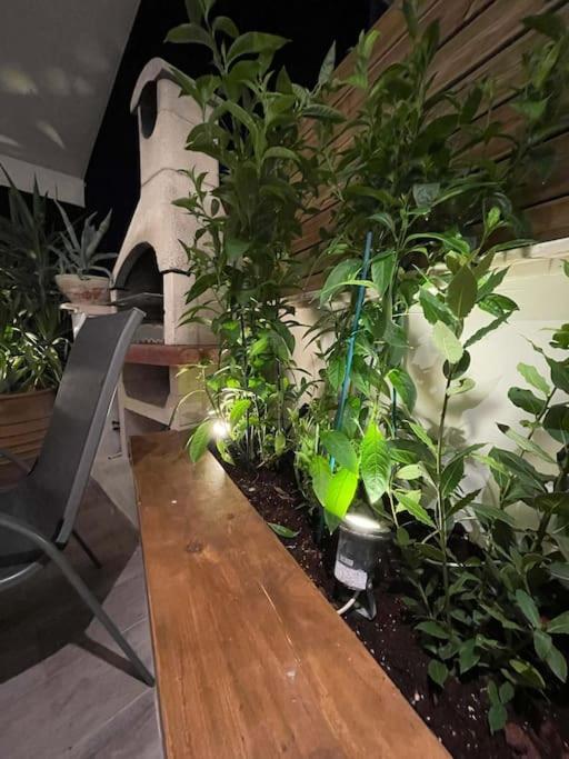 אתונה Acropolis Lux Apartment מראה חיצוני תמונה
